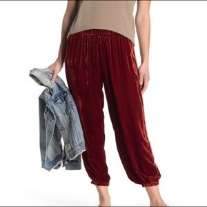 Johnny Was Aurora velvet Jogger Pants